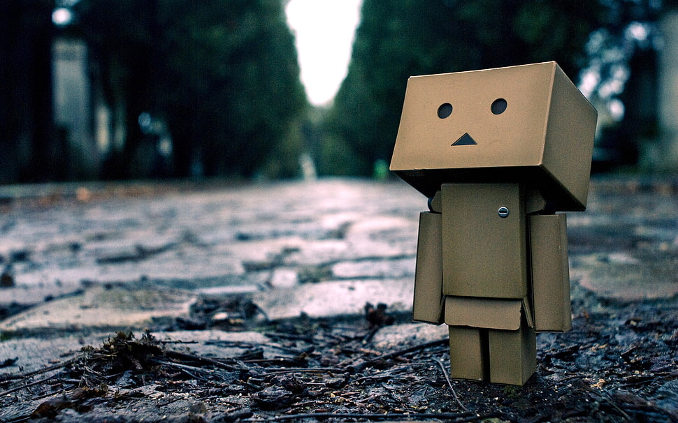 box cartoon staring up HD wallpaper