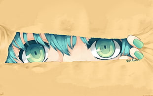 eye of female anime character HD wallpaper