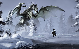 gray dragon illustration, The Elder Scrolls V: Skyrim, video games, dragon, fantasy art