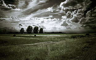 landscape photography of green field under cloudy sky