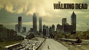 The Walking Dead poster, The Walking Dead HD wallpaper
