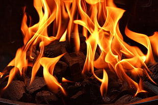 orange flame, Bonfire, Fire, Flame