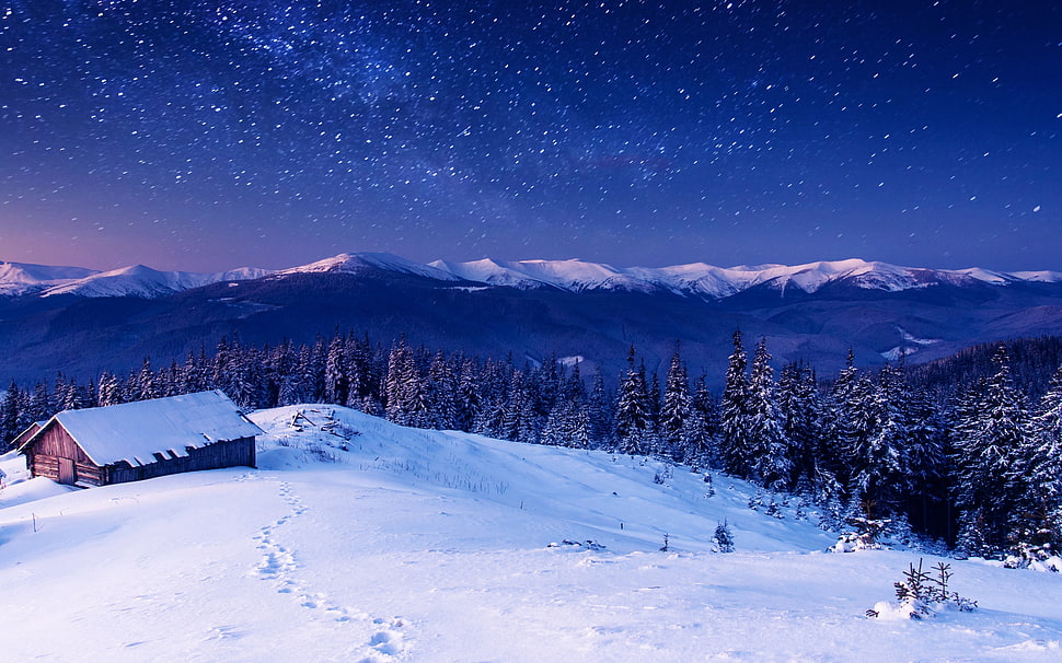 white snow path, stars, nature, mountains, night HD wallpaper