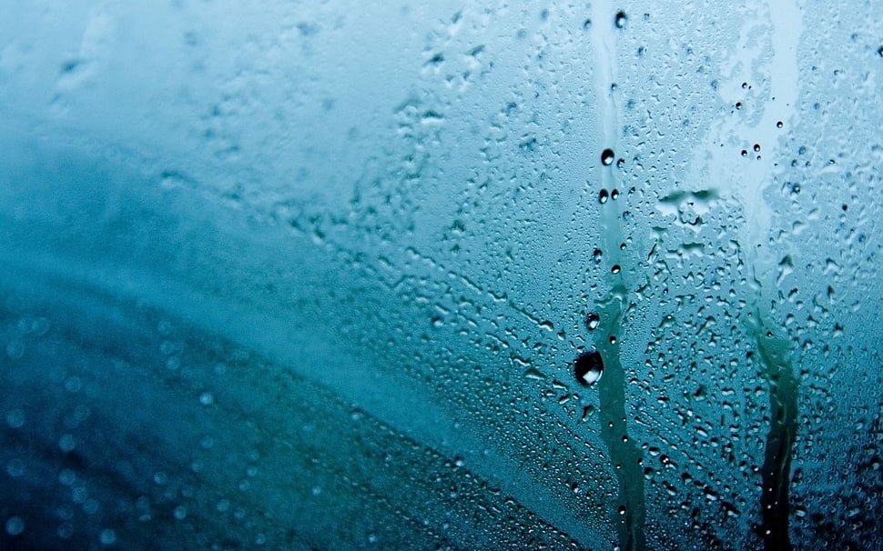 water droplets, rain, water on glass, water drops HD wallpaper