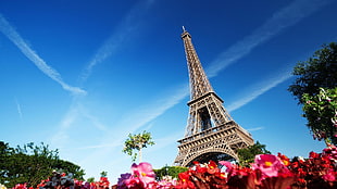 Eiffel Tower, France, Eiffel Tower, building, architecture, flowers