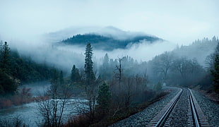 photography of train rail HD wallpaper