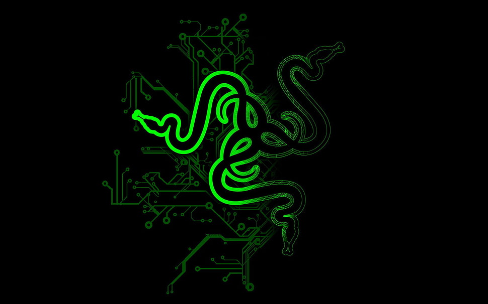 Razer logo, snake, abstract, Razer, logo HD wallpaper