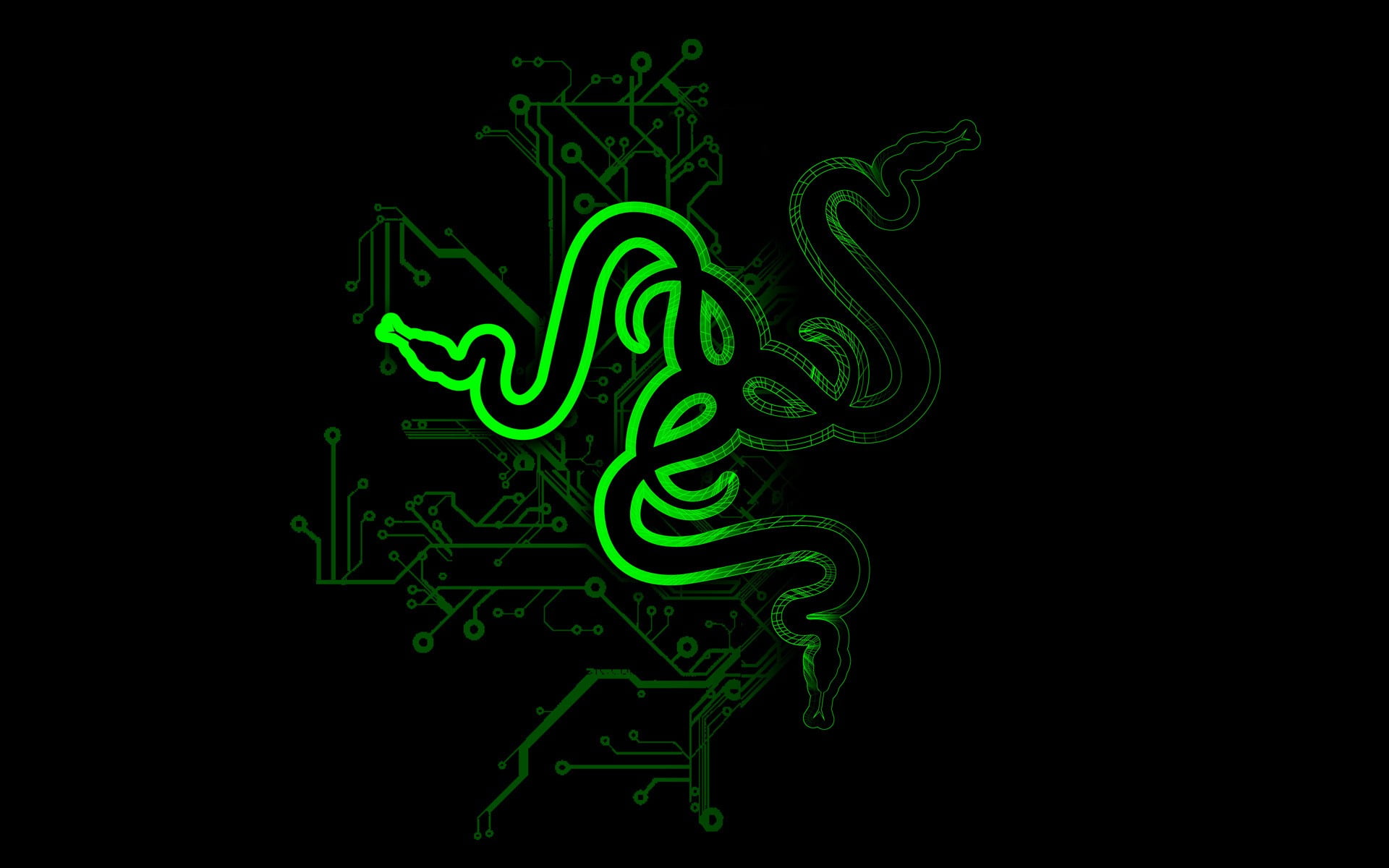 Razer logo, snake, abstract, Razer, logo