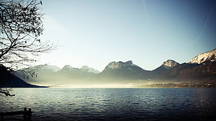 body of water near mountain and tree landscape photo