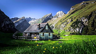gray wooden house, nature, landscape, cabin, mountains