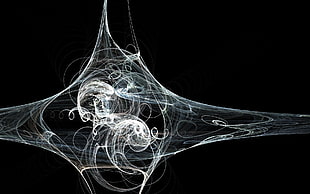 white stretched illustration