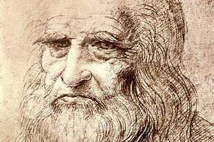 man portrait sketch, Leonardo da Vinci HD wallpaper