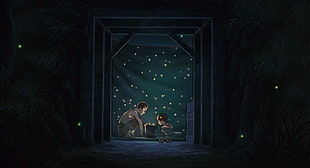 black and brown wooden cabinet, Studio Ghibli, anime, Grave of the Fireflies