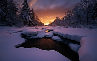 river covered in snow, nature, landscape, sunset, cold