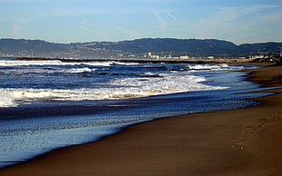 photo of seashore