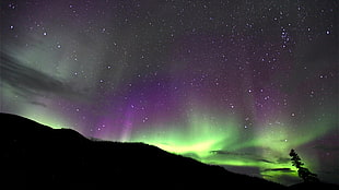 aurorae, sky, nature, Norway