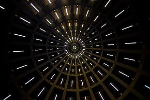 architectural of gray and black building interior ceiling
