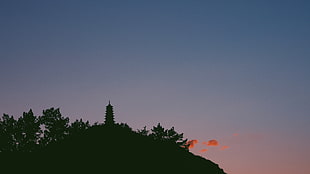 temple silhouette photography HD wallpaper