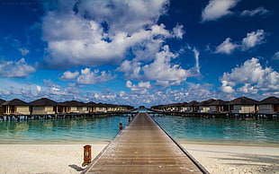 brown wooden dock, nature, landscape, beach, Maldives HD wallpaper