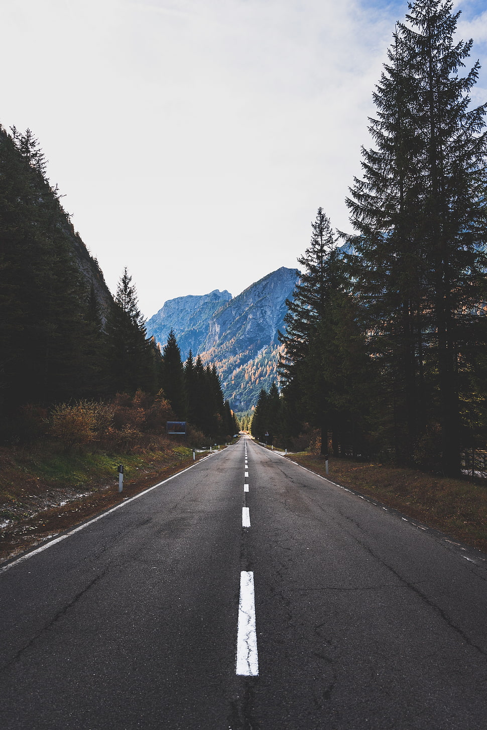 gray concrete road, Road, Marking, Mountains HD wallpaper