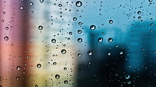 water dew drops, water drops, water on glass HD wallpaper