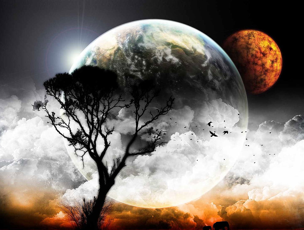 silhouette of tree in front of gray planet painting HD wallpaper