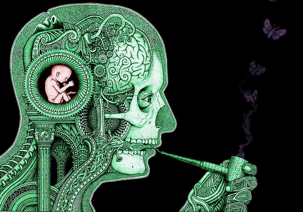 person using smoking pipe illustration, brain, clockwork, baby, science HD wallpaper