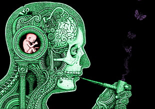 person using smoking pipe illustration, brain, clockwork, baby, science