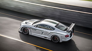 white and black car die-cast model, Bentley Continental GT3, car, Bentley, silver cars HD wallpaper