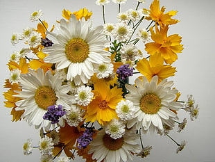 yellow and white flower arrangement