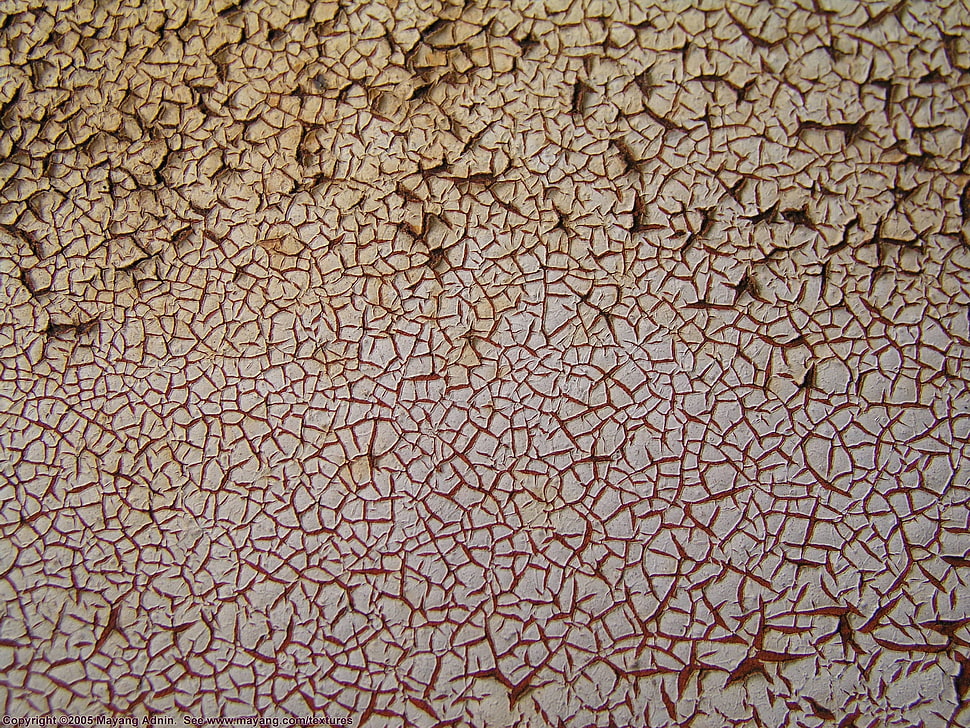 brown abstract painting HD wallpaper