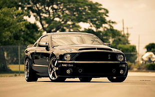 black Ford Mustang Shelby GT 500 coupe, car