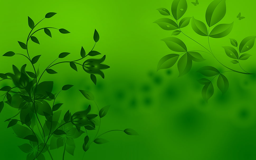 green leaves digital wallpaper HD wallpaper