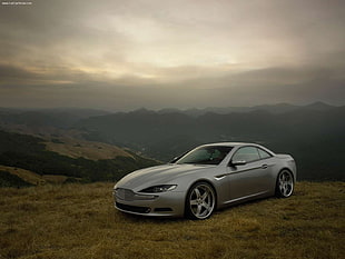 gray Jaguar coupe, car, off-road, landscape, mountains
