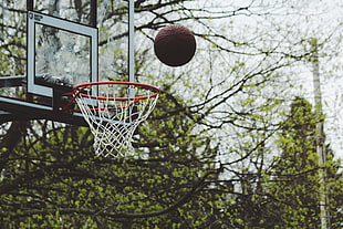 basketball board and basketball