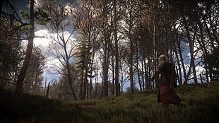green leafed trees, The Witcher 3: Wild Hunt, video games HD wallpaper