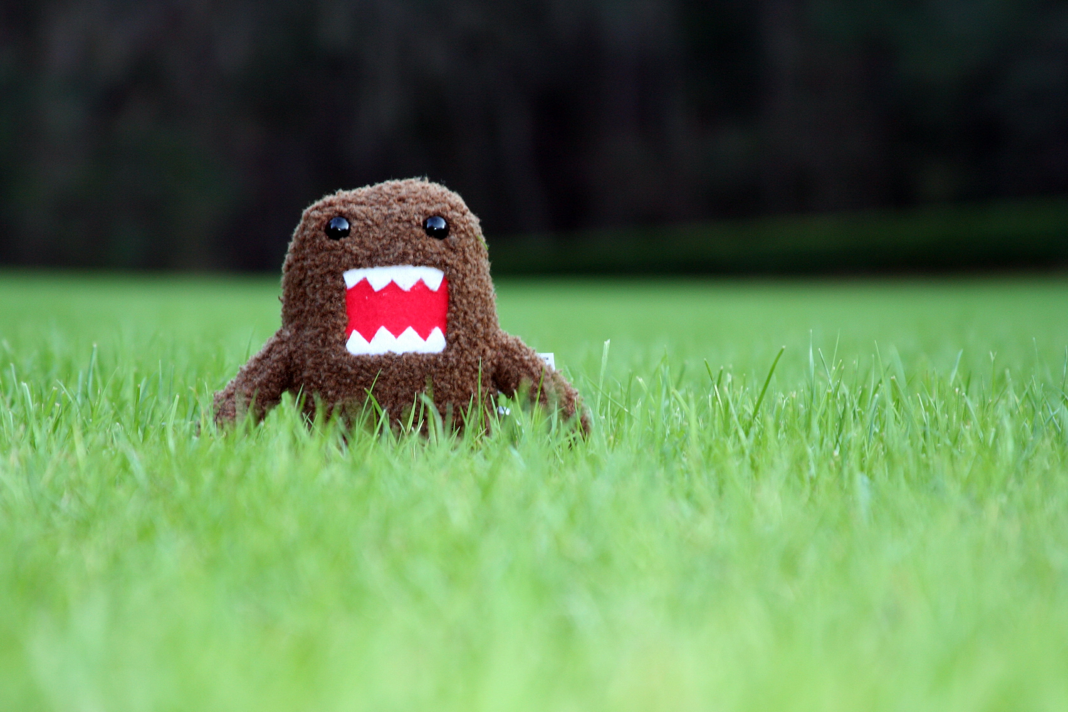 Domo Kun Wallpaper For Android | Mister Wallpapers