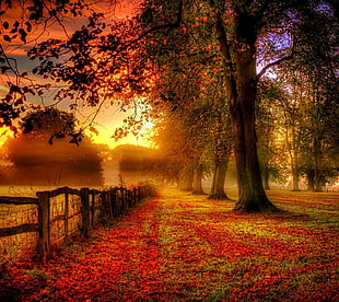 red and brown tree painting, landscape