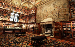 library with chair and fireplace