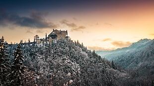 beige castle and snow coated trees, nature, winter, landscape, mountains