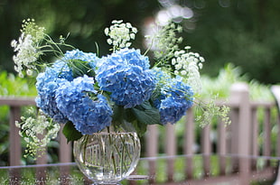 blue petaled flower with glass vase centerpiece