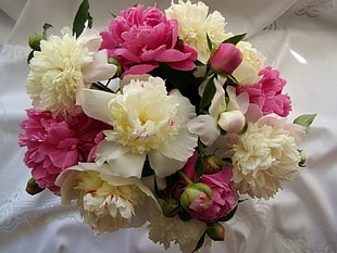 white and pink Peony flowers bouquet HD wallpaper