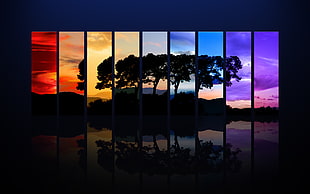 multicolored silhouette tree art