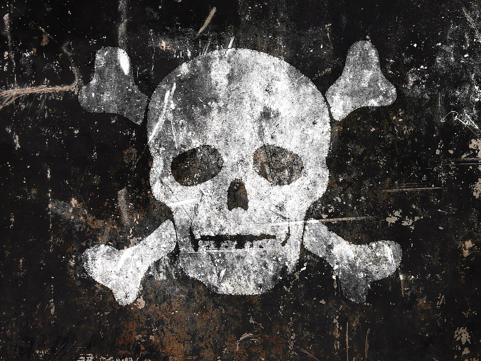 black and white skull logo, pirates, skull, artwork, grunge HD wallpaper
