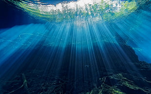 nature, underwater, sunlight, sun rays HD wallpaper