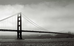 grayscale of bridge, bridge, mist, monochrome, sea HD wallpaper