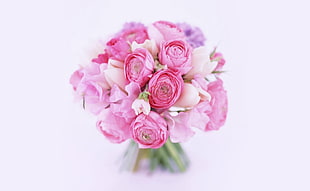 closeup photo of pink and white rose bouquet
