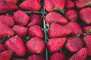 red strawberries HD wallpaper