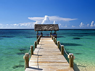 brown wooden sea dock at daytime