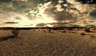 panorama photography of desert